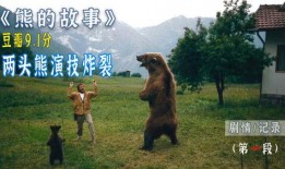 熊的故事 在线观看,森林守护者的传奇冒险